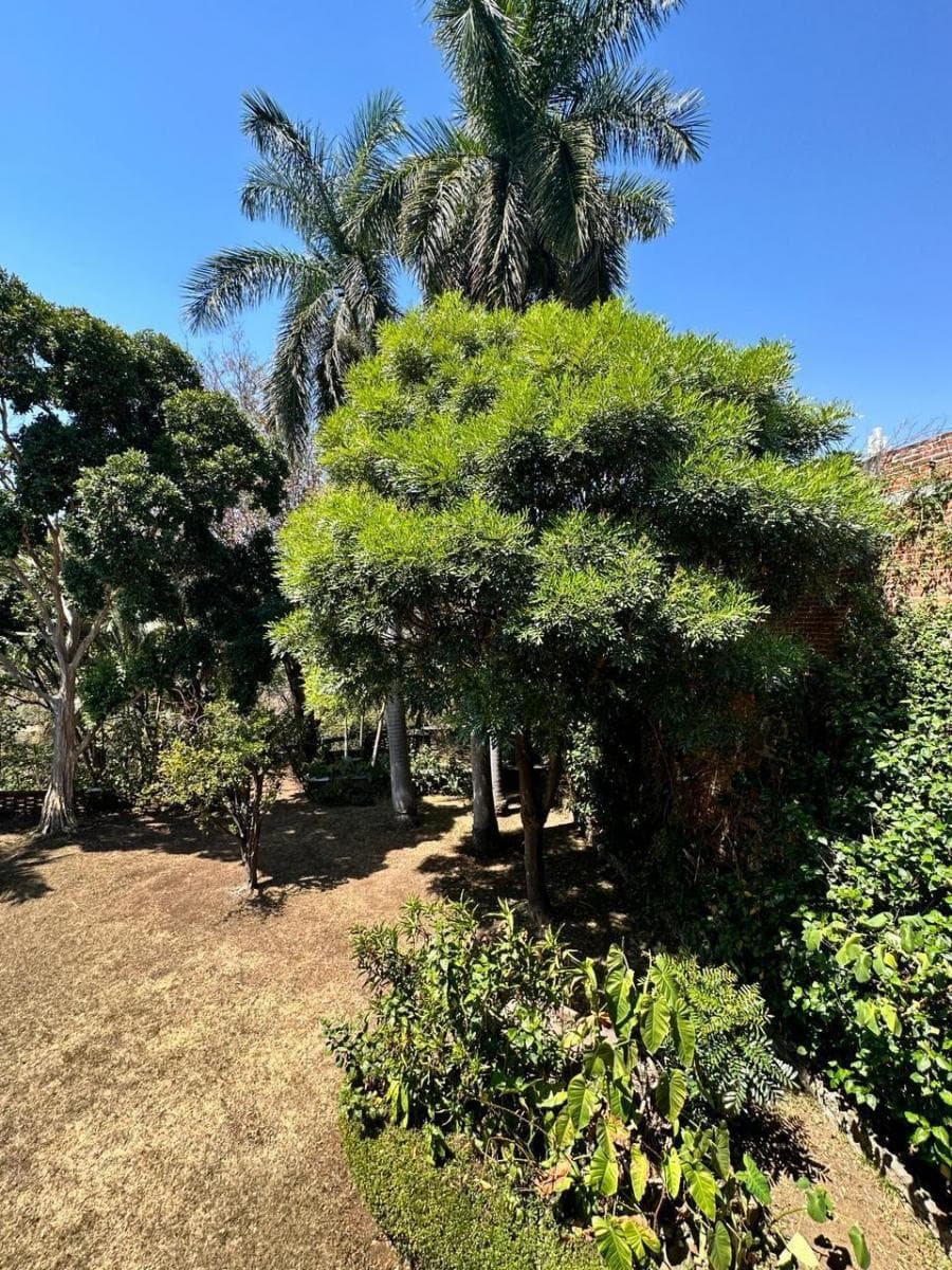 <p>Esta impresionante casa de ensueño te ofrece todo lo que necesitas para vivir el estilo de vida que siempre has deseado. Con una ubicación privilegiada en Tlaltenango, Cuernavaca, disfrutarás de la tranquilidad y la belleza natural que ofrece esta encantadora zona. Características principales: ️ 4 recámaras: Amplios espacios para toda la familia y los invitados. 3 baños: Comodidad y funcionalidad en cada rincón de la casa. 4 estacionamientos: Suficiente espacio para vehículos y visitantes. 3,082 m2 de terreno: ¡Tu propio paraíso al aire libre para explorar y disfrutar! 574 m2 de construcción: Diseño elegante y funcional para tu comodidad. Características Generales: -Chimenea -Alberca -Cuarto de servicio -Jardín Exterior Con una distribución espaciosa y luminosa, esta casa ofrece un ambiente acogedor y relajante en cada rincón. Disfruta de las hermosas vistas desde tu terraza privada, organiza reuniones familiares en el amplio jardín o relájate junto a la piscina en los cálidos días de verano. No pierdas la oportunidad de hacer de esta casa tu nuevo hogar. ¡Contáctanos hoy mismo para programar una visita y descubre todas las maravillas que esta propiedad tiene para ofrecer! ¡Tu sueño de vivir en Tlaltenango, Cuernavaca, está a solo un paso de hacerse realidad!</p>