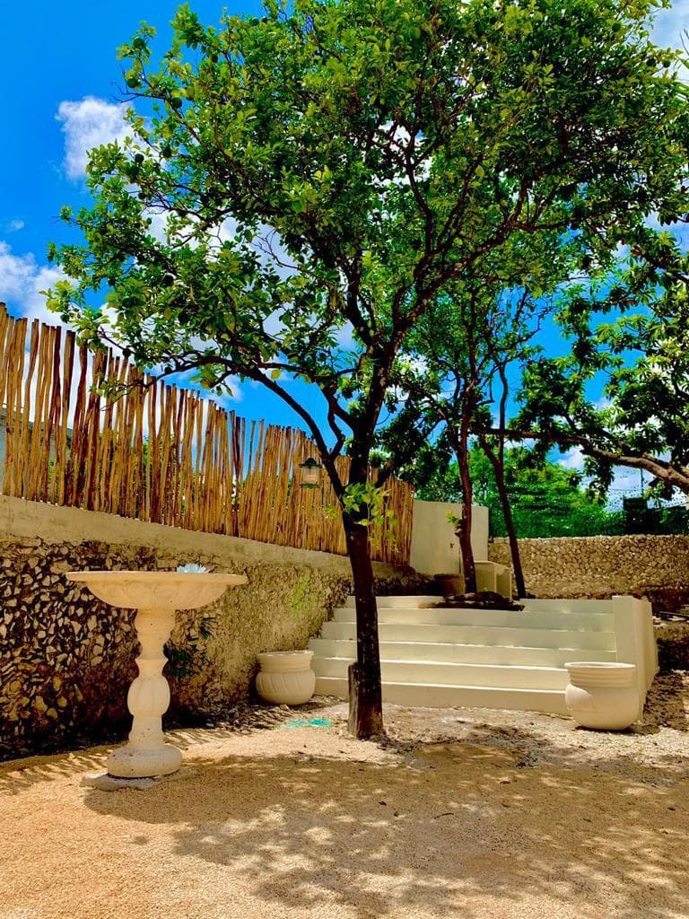 <p>Totalmente remodelada y climatizada, CASA AZUL se encuentra en el corazón del Centro de Mérida, Yucatán. Rodeada de encantadoras casas coloniales de la misma época, esta propiedad está ubicada en una calle tranquila y poco transitada, a solo 300 metros del Paseo Montejo y muy cerca del hotel Hyatt. Es una combinación perfecta de historia, modernidad, naturaleza y relajación.&nbsp;</p><p><br></p><p><strong>Características de la Propiedad:&nbsp;</strong></p><p>• Comedor y Cocina:&nbsp;</p><p>o Comedor: 6 x 6.5 metros&nbsp;</p><p>o Cocina: 6.5 x 2.5 metros&nbsp;</p><p>o Ambos espacios son amplios, con vista panorámica a los jardines y doble altura con iluminación indirecta, ideal para vivir o para negocio Airbnb.&nbsp;</p><p><br></p><p><strong>• Jardines y Áreas Exteriores:&nbsp;</strong></p><p><br></p><p>o Jardín interior con árboles frutales (mamey, huaya, aguacate, naranjos)&nbsp;</p><p>o Piscina (7 x 3.5 metros) con acabados Chukum y asoleaderos&nbsp;</p><p>o Bar en el interior de la piscina con bancos y columpios rústicos en la barra exterior&nbsp;</p><p><br></p><p><strong>• Baños:&nbsp;</strong></p><p>o Dos baños completos con regadera&nbsp;</p><p>o Baño principal: 7.5 metros de largo con doble lavabo, doble regadera y tina para dos personas&nbsp;</p><p><br></p><p><strong>• Habitaciones y Espacios Interiores:&nbsp;</strong></p><p>o Sala principal: 5 x 4.5 metros&nbsp;</p><p>o Dos amplias habitaciones: 5 x 4.5 metros, ambas con closets&nbsp;</p><p>o Estudio ideal para biblioteca o home office&nbsp;</p><p><br></p><p><strong>• Instalaciones Nuevas:&nbsp;</strong></p><p>o Instalación eléctrica, hidráulica y sanitaria&nbsp;</p><p>o Aires acondicionados nuevos&nbsp;</p><p>o Agua potable y pozo para llenado de la alberca&nbsp;</p><p>o Sistema presurizador de agua&nbsp;</p><p>o Puerta exterior y ventana de madera de cedro nuevas&nbsp;</p><p><br></p><p><strong>Terreno:&nbsp;</strong></p><p>• Dimensiones: 10 metros de frente por 39 metros de fondo&nbsp;</p><p>• Documentación en regla, lista para entregar&nbsp;</p><p><br></p><p><strong>Potencial de Expansión:&nbsp;</strong></p><p>• Cimientos al fondo de la propiedad para construir dos habitaciones de 5 x 3.5 metros&nbsp;</p><p>Sus espacios de relajación están diseñados para brindar confort, bienestar y frescura en armonía con la naturaleza. CASA AZUL es una oportunidad única para vivir en un lugar que combina lo mejor del pasado y del presente en un entorno sereno y privilegiado.</p>